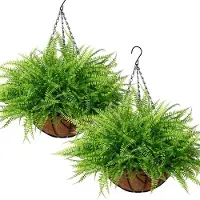 Unyqoos Kunstplanten, set van 2 varens in metalen mand, weerbestendig en UV-bestendig, zwarte vinylcoating en kokosvezel – decoratieve planten voor balkon, terras en woonkamer