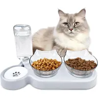Unyqoos Innovatieve 3-in-1 Verhoogde Kattenvoederbak met Kantelbare Schalen en Waterfontein
