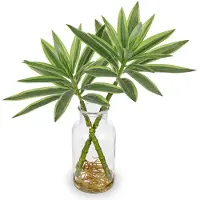 Unyqoos Levensechte Dracaena Kamerplant in Stijlvolle Glasvaas voor Interieurdecoratie, groente, 36 cm