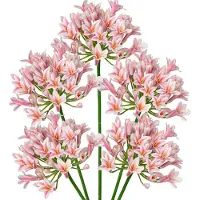 Unyqoos Set van 5 roze kunstagapanthus (Afrikaanse lelies) – 75 cm hoog, breedte ongeveer 13 cm, gemaakt van kunstzijde, levensechte decoratieve bloemen voor bloemarrangementen
