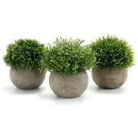 Unyqoos Kunstplanten, set van 3 – realistische decoratieve planten van kunststof, 9,5 x 13 cm, 250 g per stuk, met een milieuvriendelijke pot. Kies uit bloemen, vetplanten of klimop