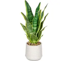 Unyqoos Kunstplant Sansevieria, 44 cm – gemakkelijk te verzorgen decoratieve plant in een witte keramische pot met decoratieve steentjes, diameter 12 cm, kunststof