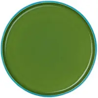 Asa selection Dinerbord Tapero Viva Verde 24 cm