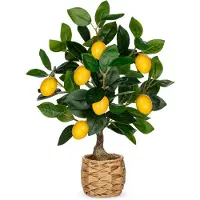 Unyqoos Kunstcitroenboom, 44 cm – gemakkelijk te onderhouden kamerdecoratie in een met de hand gevlochten pot, met realistische vruchten, gemaakt van hoogwaardige, niet-giftige materialen