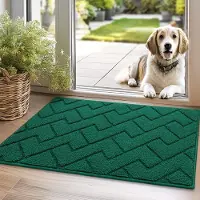 Unyqoos Wasbare Antislip Deurmat voor Binnen en Buiten, Vuilafstotend, Absorberend, 50 x 80 cm, Groen