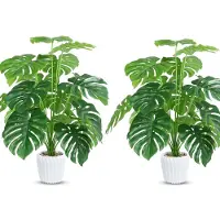 Unyqoos Set van 2 kunstplanten met Monstera-bladeren, 70 cm hoog – bladeren verstelbaar, witte plastic potten met steenvulling, gemaakt van PEVA, decoratie voor badkamer, keuken, kantoor