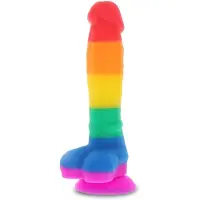 Unyqoos Kleurrijke Regenboog Vlag Decoratie voor Stijlvolle Viering van Pride