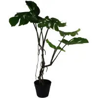 Unyqoos Realistische Monstera-kunstplant, met gedraaide stengel en grote groene bladeren, 60 cm, met buigzame stelen, in een stevige plastic pot
