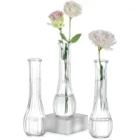Unyqoos Set van drie elegante glazen vazen met geribbeld ontwerp voor decoratie