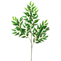 Mica Decorations Kunstplant takken Ruscus - H72 cm - lichtgroen - kunststof - bladgroen - siertakken