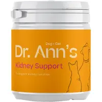 Dr. Ann's Kidney Support