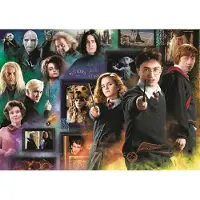 Trefl 10668 Puzzel Harry Potter - 1000 stukjes