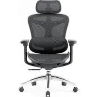 Sihoo Doro C300 ergonomische kantoorstoel met ultra zachte 3D armleuningen, dynamische rugondersteuning voor thuiswerk, verstelbare rugleuning bureaustoel (zwart)