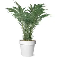 Mega Collections Plantenpot/bloempot - kunststof - wit - buiten - D35 x H31 cm - Plantenpotten