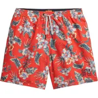 Superdry Zwemshorts blauw / groen / rood