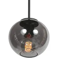 Steinhauer HaloSwap 4291ZW – Zwarte hanglamp met stijlvol smoke-kleurig glas