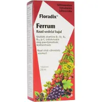 Floradix Vloeibaar Ijzer-elixer Met Vitamines 250 Ml