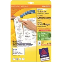 Avery Huismerk Avery 6170 Universele Etiket 64x36mm Wit