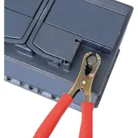 Carpoint Accupooltang 120 AMP 2 stuks