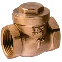 Airaga Swing 3/8´´ Check Valve Goud
