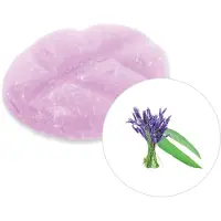 Scentchips Eucalyptus & Lavendel - Geurblokjes - Huisparfum - Geurchips - Waxmelts - Geschikt voor Geurbrander en Waxbrander - L - 26 Stuks