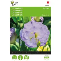 Buzzy Zaden lisianthus sky blue 20 zaden