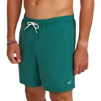 O'Neill Zwemshorts 'Vert' groen