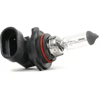 Hella 8GH 242 632-201 Gloeilamp, verstraler