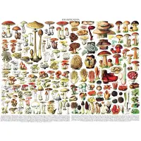 New York Puzzle Company puzzel: Pilzen, 1000 stukjes, vintage plantenmotief