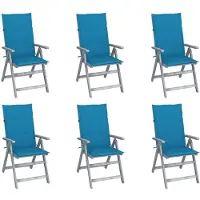 The Living Store Verstelbare Tuinstoelenset - Massief acaciahout - Greywash - 57 x 69 x 111 cm - Inclusief kussens