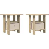 vidaXL Nachtkastje 2 st Sonoma Eik 41 x 40 x 45 cm Bewerkt hout