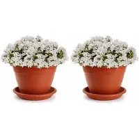 PlasticForte 2x plantenpot met opvang schaal - terracotta - rond - D30 x H23 cm - kunststof - buiten - tuin - bloempot