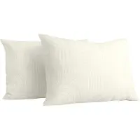 Y-NOT Kussenslopen Set - Velvet Japandi Pearl White - 60x70 cm - 2-pack - Zachte Kussenhoezen voor Comfortabele Nachtrust