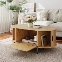 STILVORA Salontafel - Ovaal Met Rotan Deuren En Opbergruimte - Voor Woonkamer - MDF Metaal - 100x50x40 Cm - Naturel