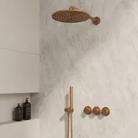 Best design Liora M-250 inbouw regendoucheset brons geborsteld