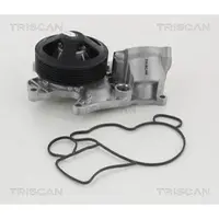 TRISCAN 8600 11040 Waterpomp