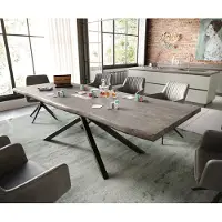 DELIFE Eettafel Edge 260x100 XL acacia platina kruisframe rechthoek zwart Live-Edge