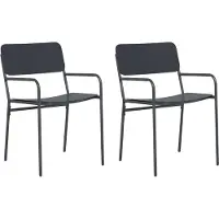 vidaXL Tuinstoelen 2 st Antraciet Staal
