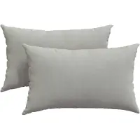 vidaXL Zitkussens 2 pcs Lichtgrijs 50 x 30 cm Stof
