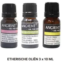 LK Basis Etherische Olie Set - Kajeput - Tangerine - Venkel - 30 ml