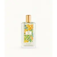 Fragonard Fragrance Belle de Grasse Eau de Toilette 100ml