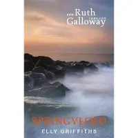 De Fontein Springvloed (Paperback)