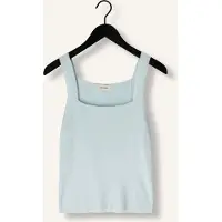 Aaiko Dames Tops & T-shirts Zena Vis 302 - Lichtblauw - Maat XXL