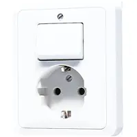 JUNG CD500 Gecombineerde Schakelaar Stopcontact Met Aardcontact - 5576EUWW