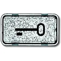 ABB Busch-Jaeger sleutelsymbool voor 2106 IP44 wipschakelaar - 2CKA001714A0286 [5 stuks]