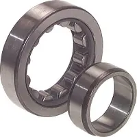 Skf Cilinderlager 60x110x22mm DIN 5412 Versterkt N