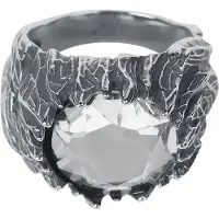 EtNox hard and heavy Ring - Eiszeit - zilverkleurig | Maat 59