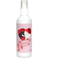 Holland Animal Care Cupido catnip spray voor katten