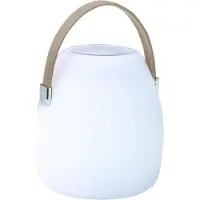 Lumisky Draadloze bluetooth luidspreker lamp H23CM MINI MAY PLAY