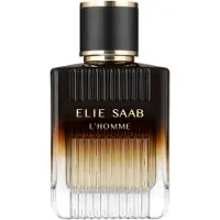 Elie Saab L'HOMME Intense Eau de Parfum 100 ml